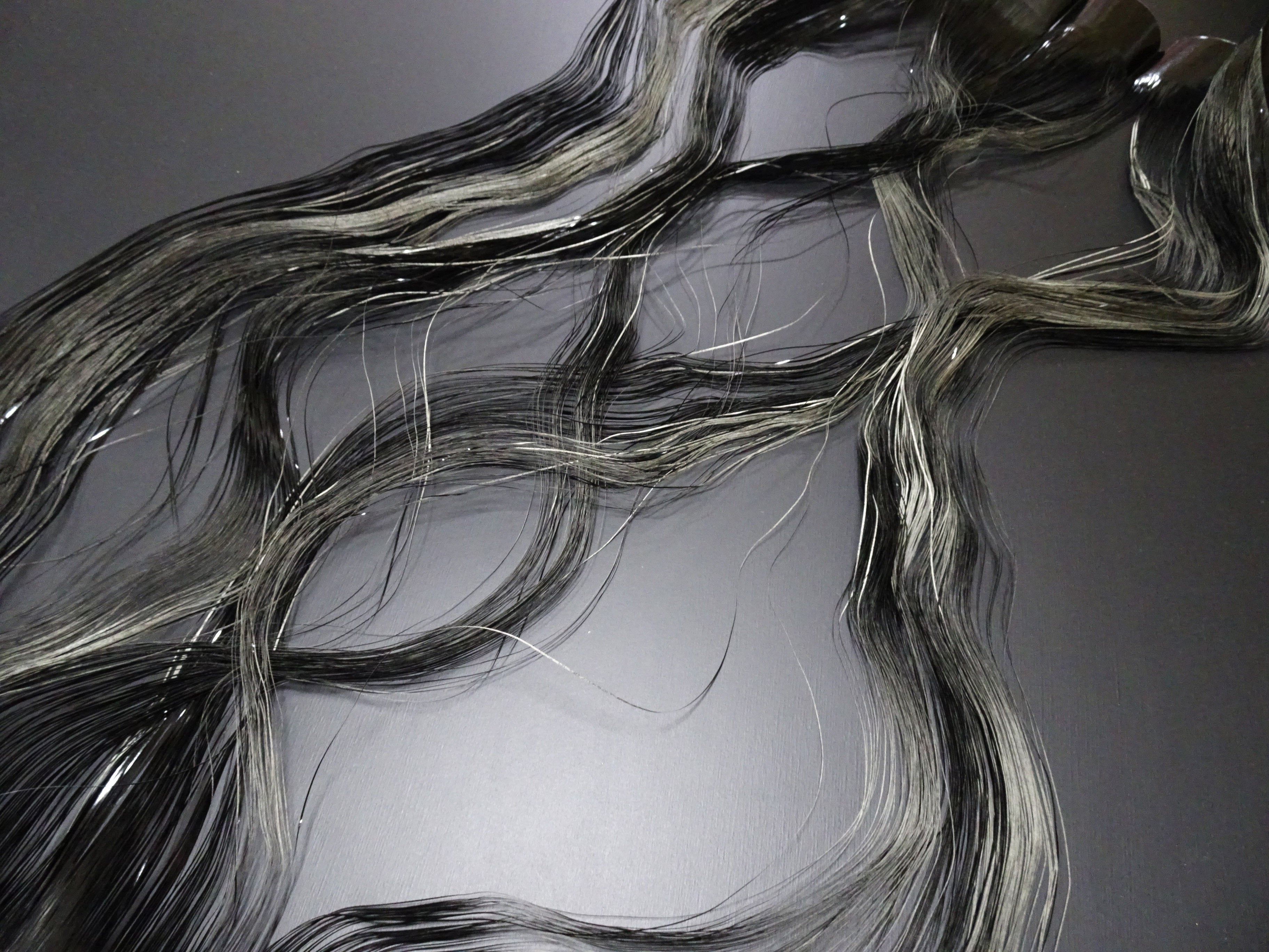 Super Rare Vintage Saga Nishiki Flat Urushi lacquer Thread – Premium Hira-haku, Traditional Japanese Textile Material 16004