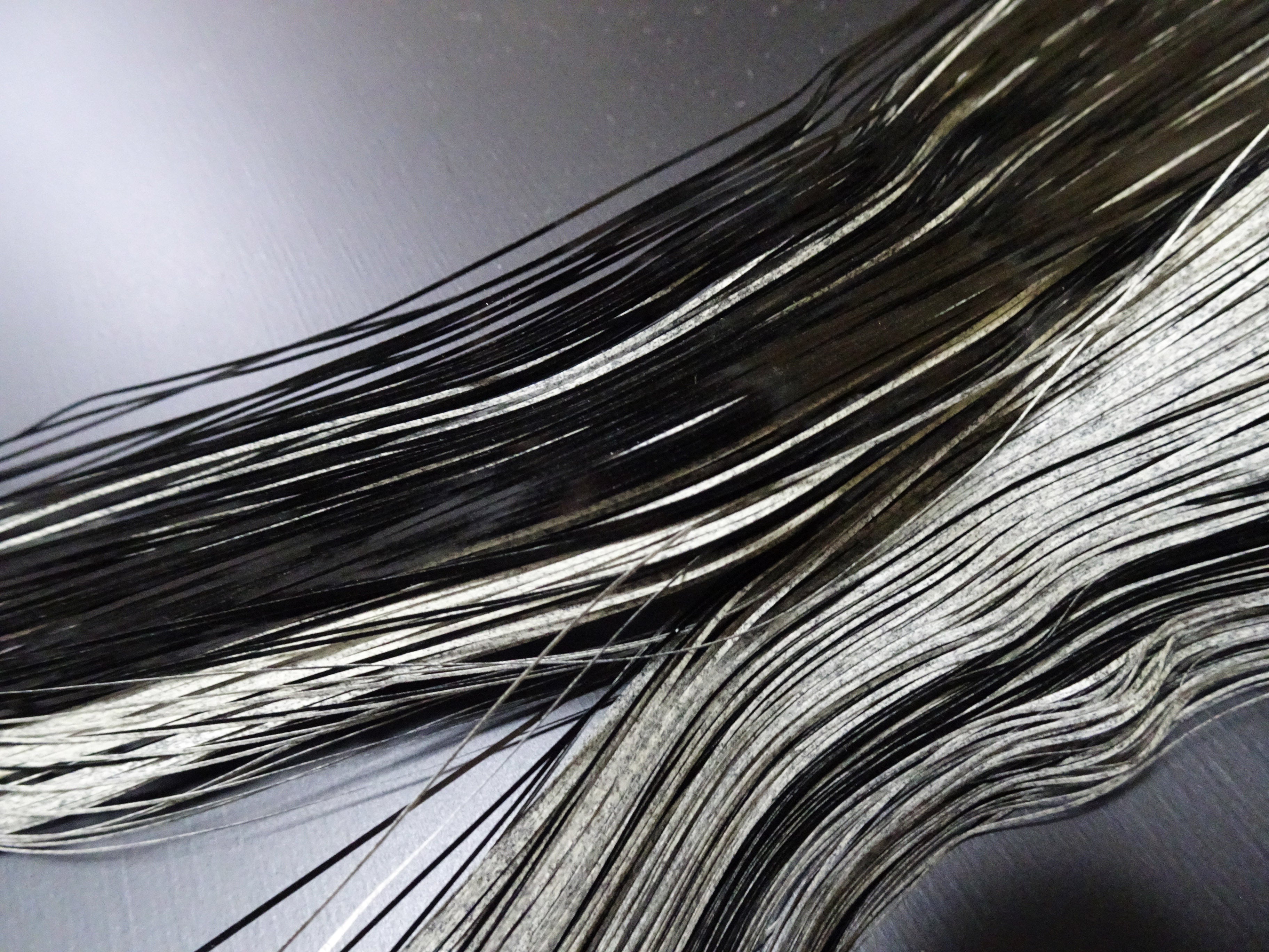 Super Rare Vintage Saga Nishiki Flat Urushi lacquer Thread
