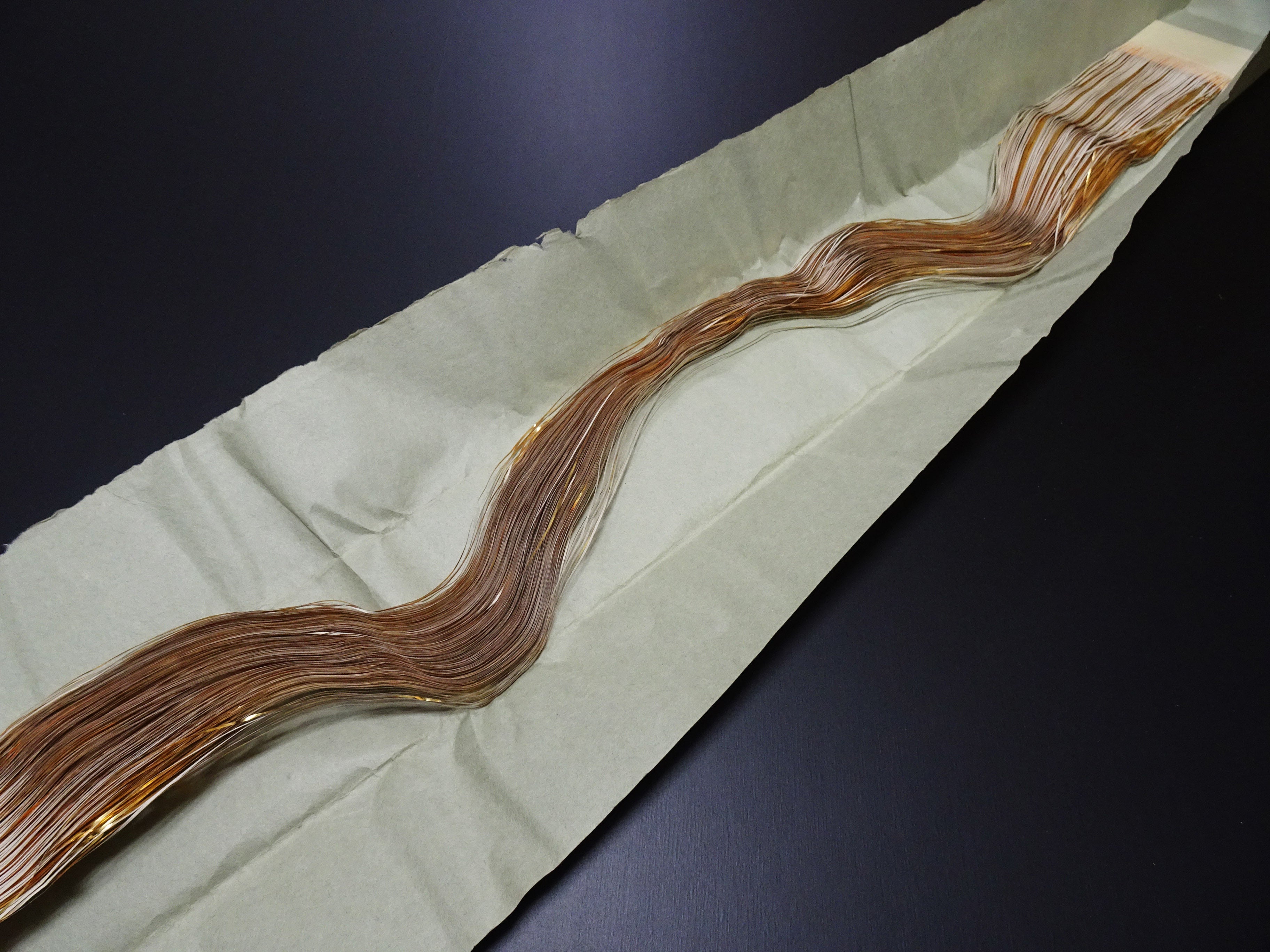 Super Rare Vintage Saga Nishiki Flat Semi-Real Gold Leaf Thread – Premium Hira-haku, Traditional Japanese Textile Material 16008