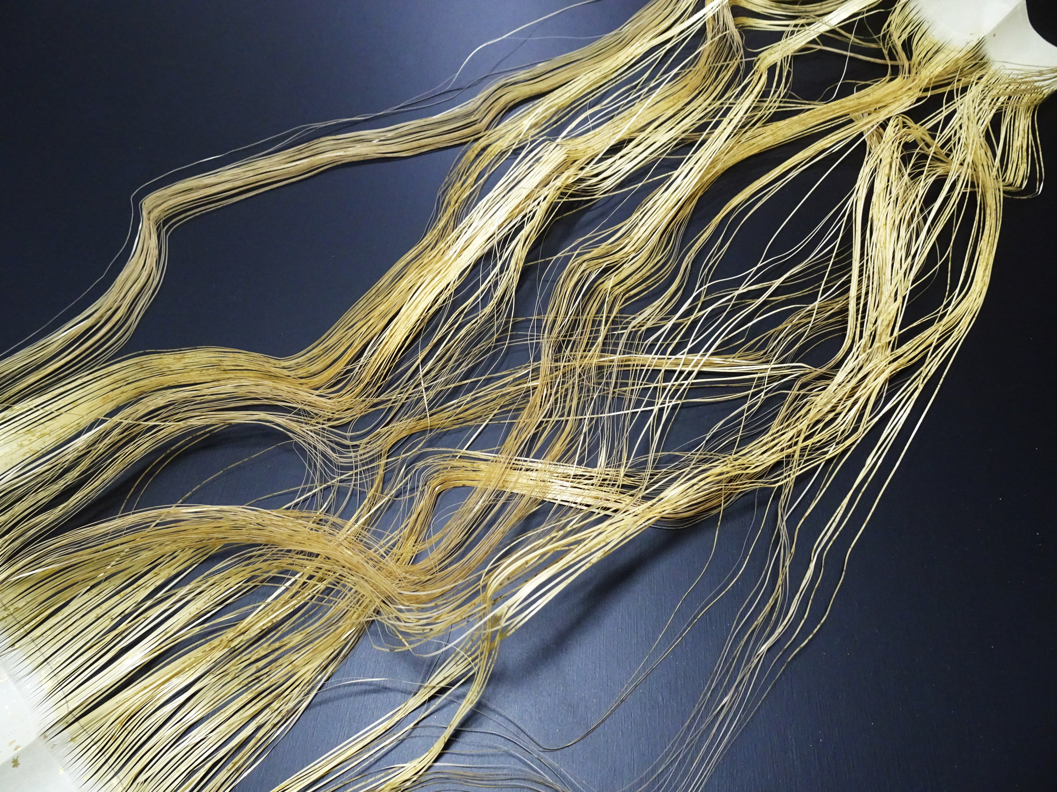 Super Rare Vintage Saga Nishiki Flat 24K Gold Leaf Kinsunago Thread – Premium Hira-haku, Traditional Japanese Textile Material 16010