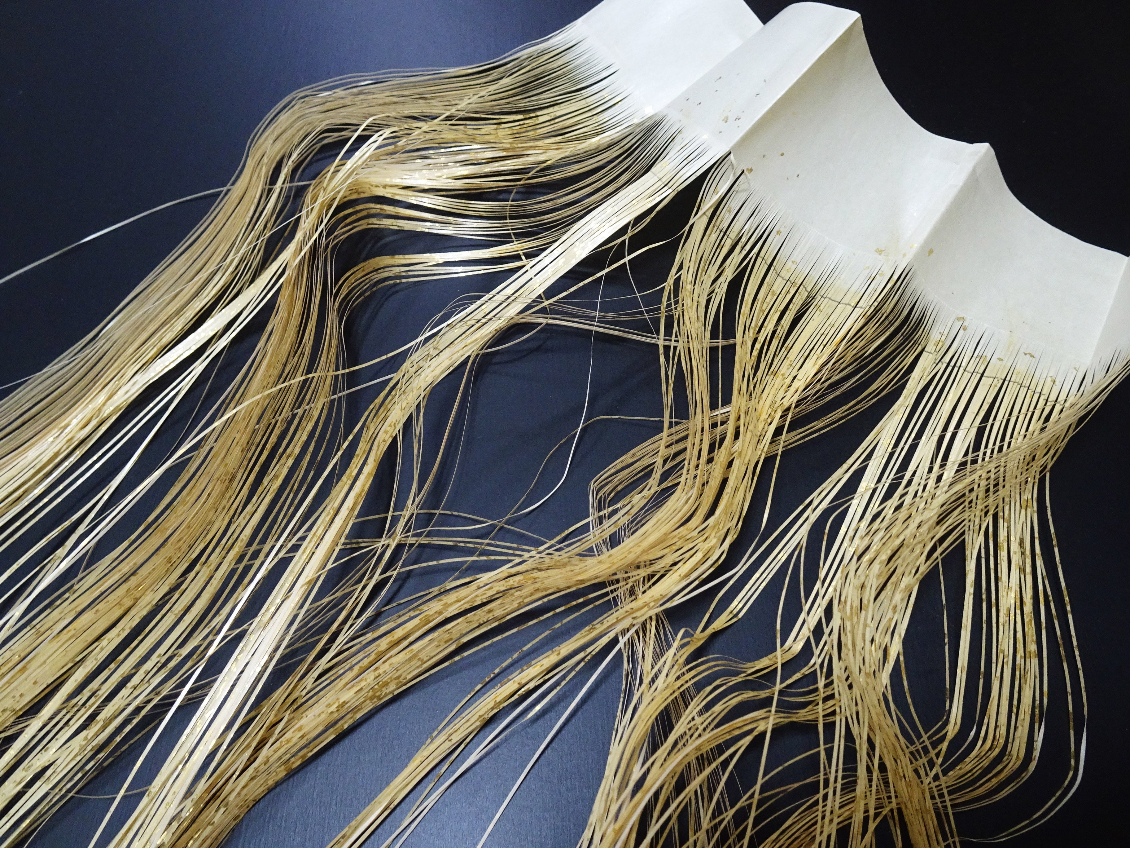 Super Rare Vintage Saga Nishiki Flat 24K Gold Leaf Kinsunago Thread – Premium Hira-haku, Traditional Japanese Textile Material 16010