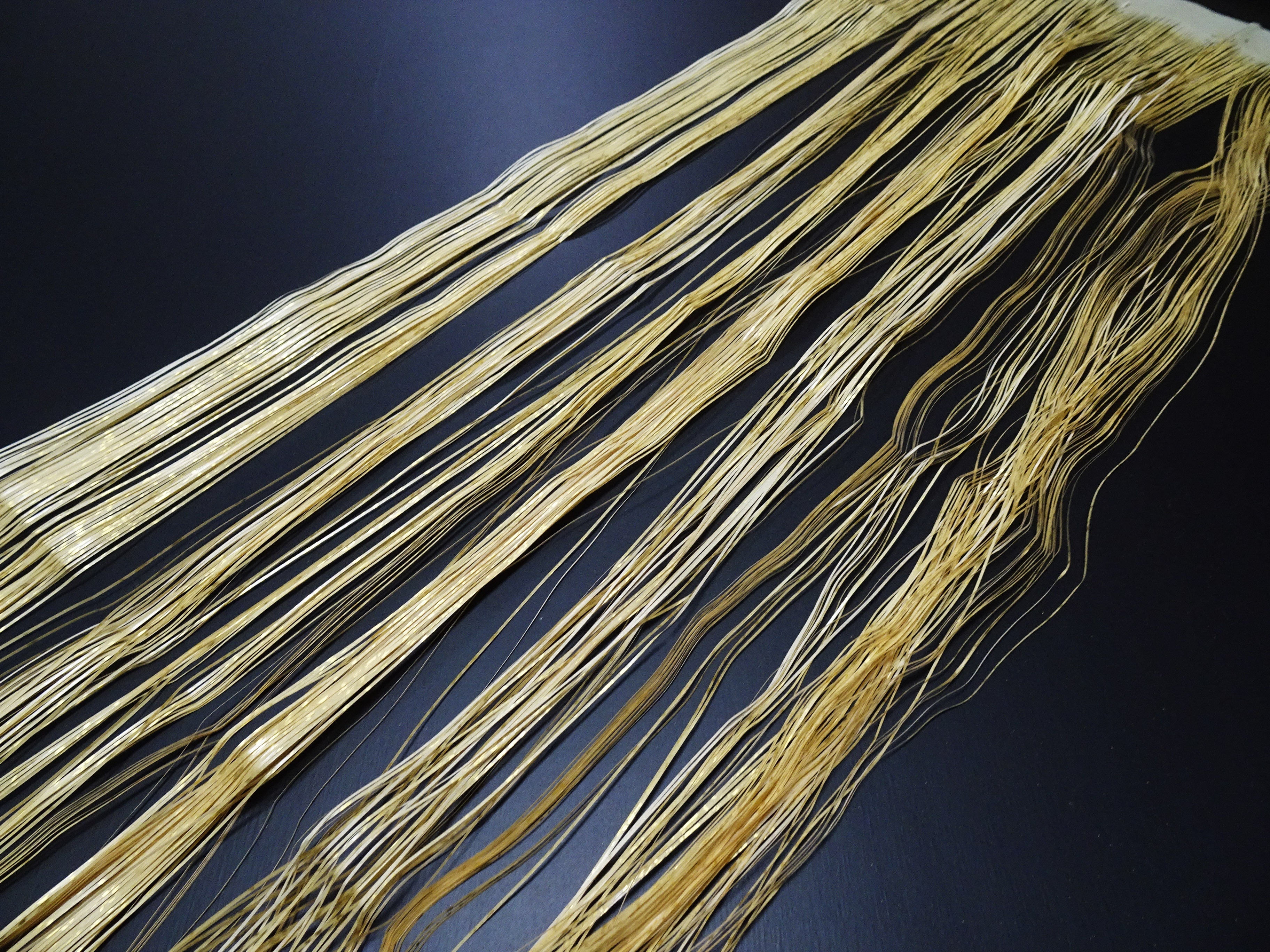 Super Rare Vintage Saga Nishiki Flat 24K Gold Leaf Kinsunago Thread – Premium Hira-haku, Traditional Japanese Textile Material 16010